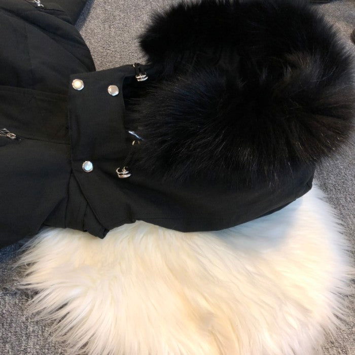 jacket Moose Knuckles